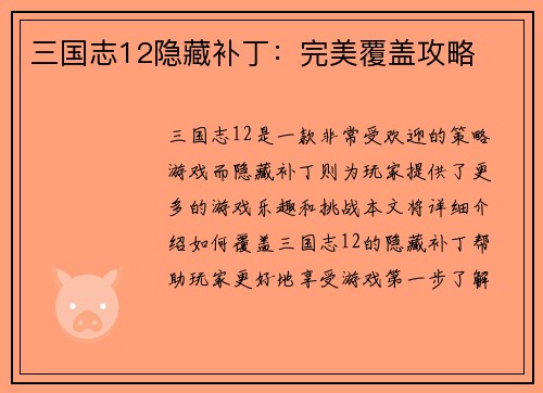 三国志12隐藏补丁：完美覆盖攻略